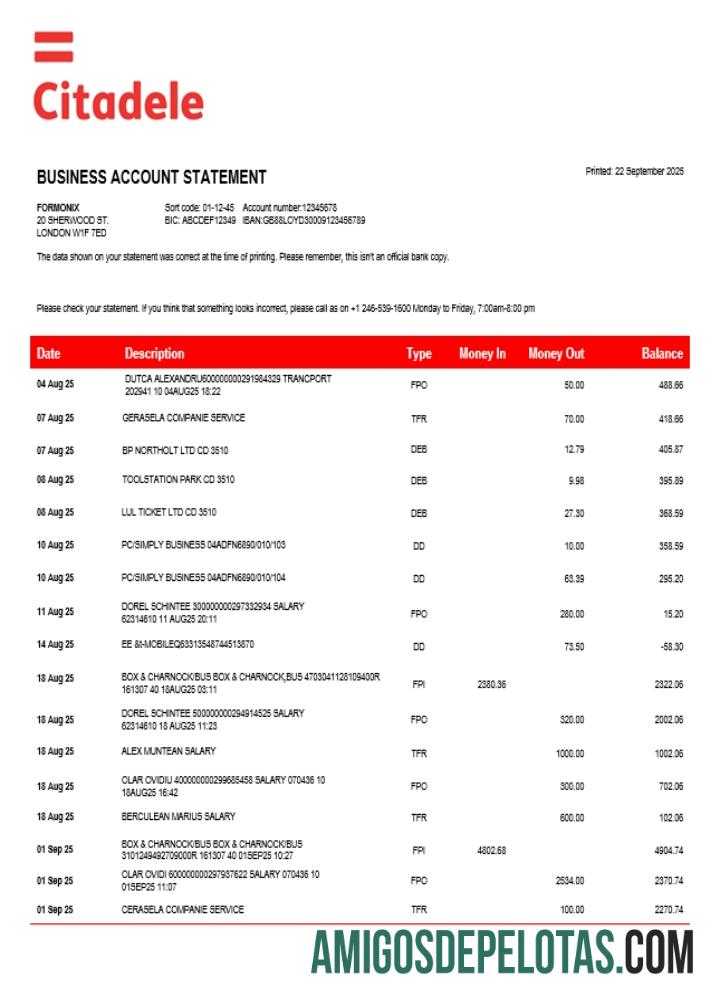 Em branco Citadele Enterprise modelo de extrato de conta Word e PDF (1)